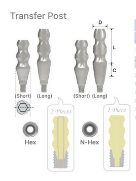 Transfer Impression Posts Closed Tray